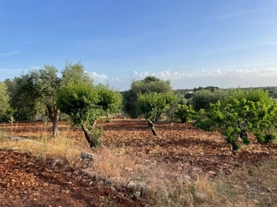 Terreno Agricolo in vendita a Ceglie Messapica contrada montevicoli