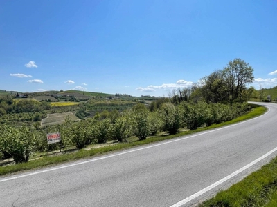 Terreno Agricolo in vendita a Clavesana sp59