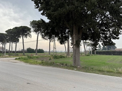 Terreno Agricolo in vendita a Foggia via del Mare