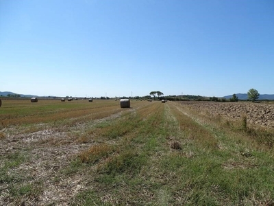 Terreno Agricolo in vendita a Grosseto strada Molino degli Acquisti, 35