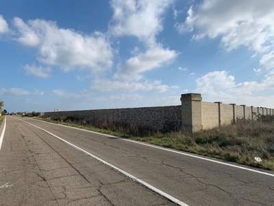 Terreno Agricolo in vendita a Lecce