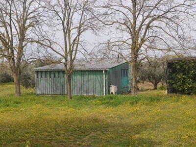 Terreno Agricolo in vendita a Rosignano Marittimo stradone del Belvedere