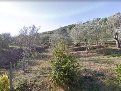 Terreno Residenziale in vendita a Monsummano Terme via monusmmano alto, 9