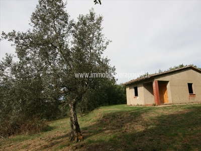 Casa indipendente in vendita a Monte San Savino