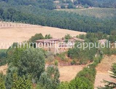 Casale in vendita a Rapolano Terme