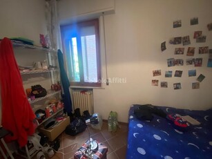 Stanza in Affitto a Siena, zona Scacciapensieri, 270€, 15 m², arredato