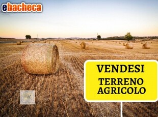 Terreno Agricolo a..