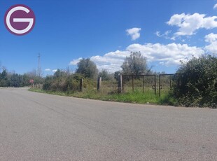 Vendita Terreno Agricolo in Taurianova