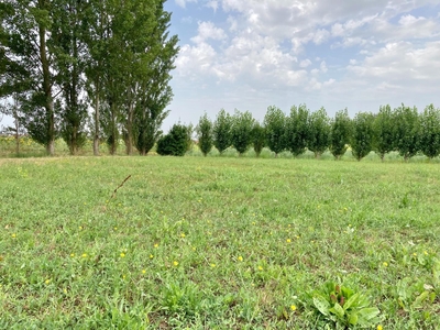 Terreno Agricolo in vendita, Calcinaia fornacette