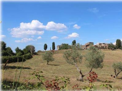 Vendita Azienda agricola CASTELNUOVO DI VAL DI CECINA