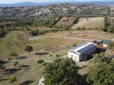 Attività Commerciale in vendita a Roccalbegna