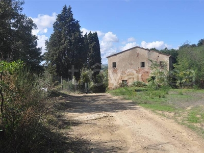 Azienda Agricola in vendita a Casciana Terme Lari