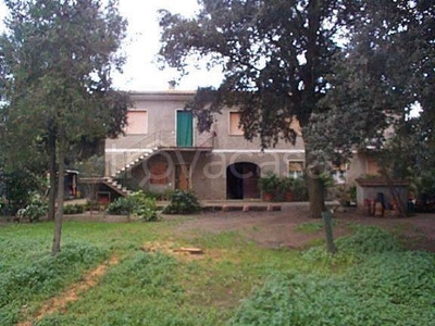 Azienda Agricola in vendita a Castagneto Carducci