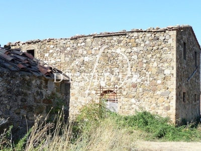 Azienda Agricola in vendita a Cinigiano