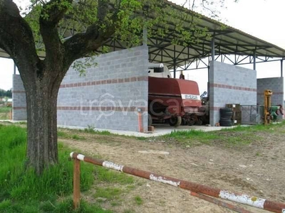 Azienda Agricola in vendita a Foiano della Chiana