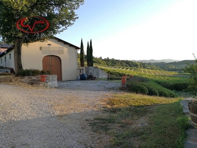 Azienda Agricola in vendita a Montevarchi