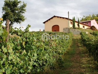 Azienda Agricola in vendita a Montevarchi via aretina