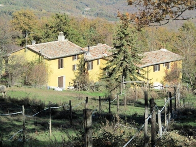 Azienda Agricola in vendita a Montieri