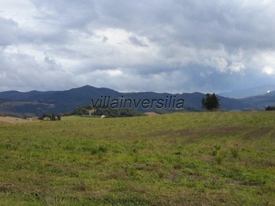 Azienda Agricola in vendita a Pomarance