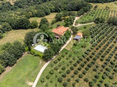 Azienda Agricola in vendita a Reggello via Torre a Monte, 6