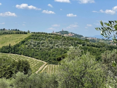 Azienda Agricola in vendita a San Miniato