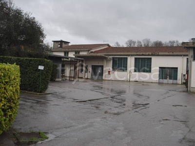 Capannone Industriale all'asta a Capannori frazione Segromigno in Monte, Via delle Ville n.478