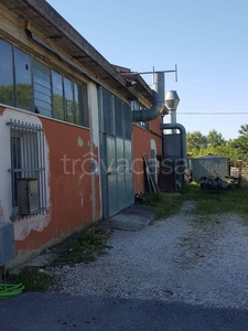 Capannone Industriale in in vendita da privato a Casciana Terme Lari via Romagna