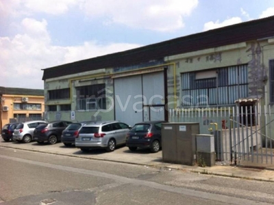 Capannone Industriale in vendita a Crespina Lorenzana via Livornese Est