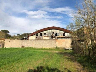 Capannone Industriale in vendita a Crespina Lorenzana via Piano della Tora 6