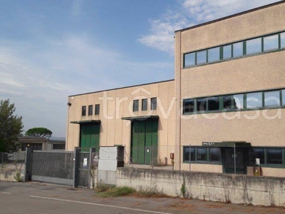 Capannone Industriale in vendita a Sansepolcro via fiumicello, 7