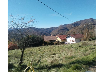 Terreno Agricolo/Coltura in vendita a Ronco Scrivia, Località Cascine 1