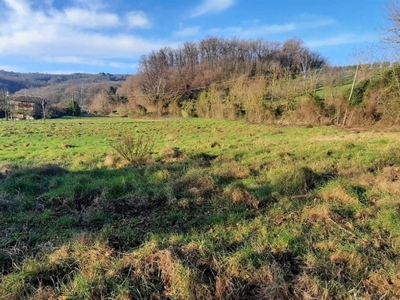 Terreno Agricolo in vendita a Figline e Incisa Valdarno