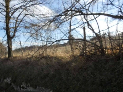 Terreno Agricolo in vendita a Firenzuola strada di Firenzuola