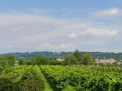 Terreno Agricolo in vendita a Montebelluna