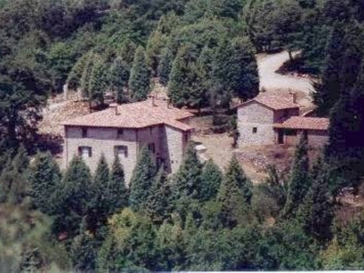 Terreno Agricolo in vendita a Piegaro vocabolo castello-greppolischieto