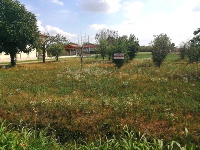 Terreno Agricolo in vendita a Trevignano