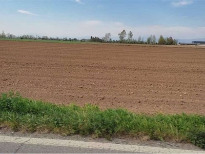 Terreno Agricolo in vendita a Treviso