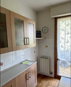 Appartamento in Affitto ad Carrara - 1300 Euro