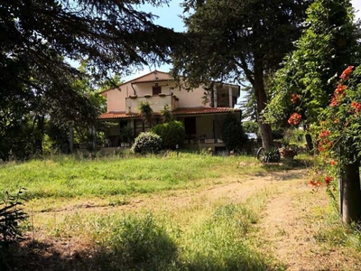 Azienda Agricola in Vendita ad Palaia - 680000 Euro