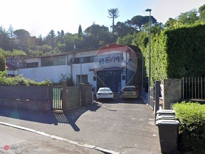 Negozio/Locale commerciale in Vendita in a Frascati