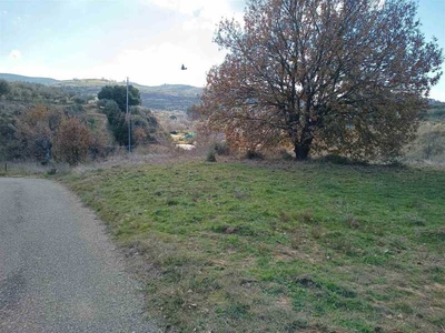 Terreno agricolo in Vendita ad Nissoria