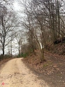 Terreno agricolo in Vendita in Via Fontana del Turano a Velletri