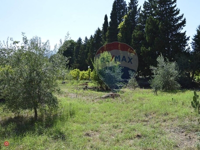 Terreno agricolo in Vendita in Via Grotte Nicodemo a Piedimonte Etneo