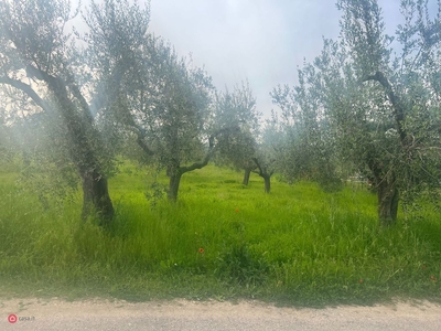 Terreno edificabile in Vendita in Contrada Moncoccitto a Cepagatti