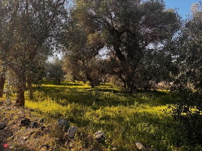 Terreno edificabile in Vendita in Strada Vicinale Vassallo a Bari