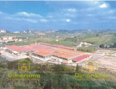 Vendita Terreno Agricolo in CASTELFIORENTINO