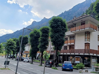 Appartamento in vendita a Branzi Bergamo