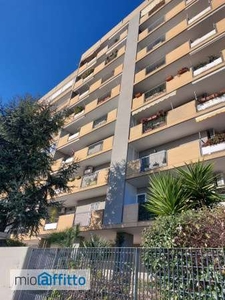 Appartamento arredato con terrazzo Bari