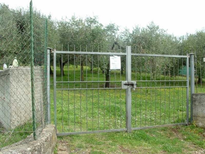 Terreno Agricolo in Vendita ad Albano Laziale - 60000 Euro