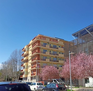 Quadrilocale in zona Zona Ospedale a Pescara